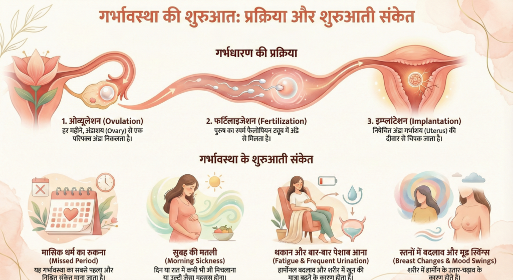 प्रेगनेंट कैसे होते हैं?